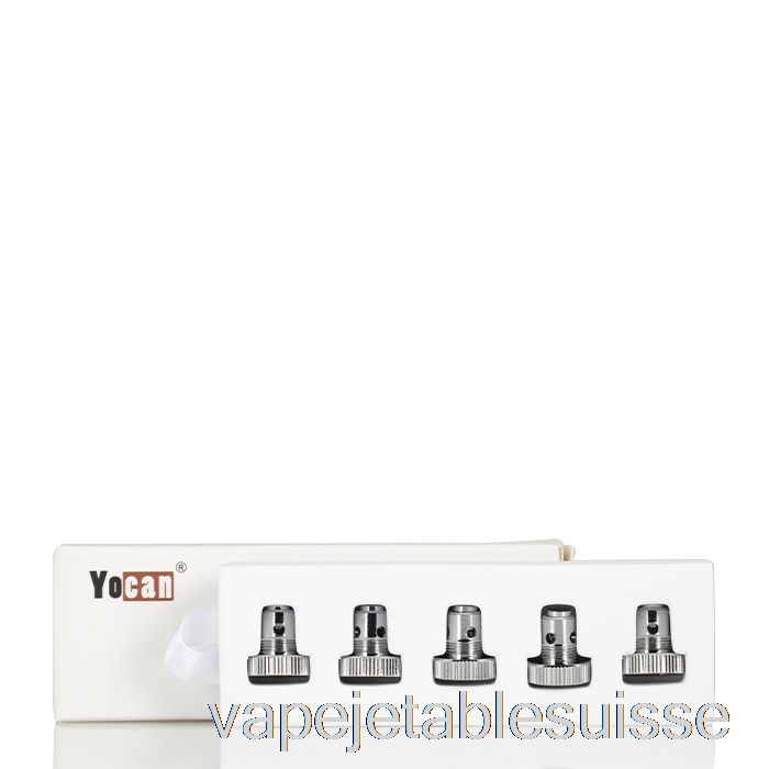 Vape Suisse Yocan Evolution-D Bobine De Remplacement Bobine De Crêpe à Double Spirale